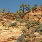 Zion Nationa Park - Utah